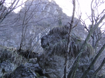 2011-03-18 Cornalba-Alben 006