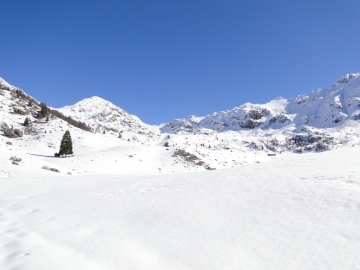 2011-03-18 Cornalba-Alben 015