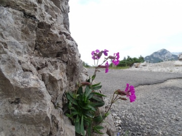 2022-07-16-Corna-Blacca-21