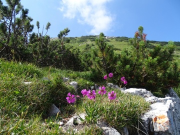 2022-07-16-Corna-Blacca-61a