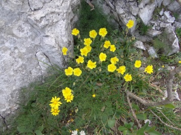 2022-07-16-Corna-Blacca-63