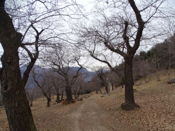 2020-02-29-Corno-di-Nago-21