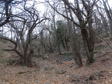 2020-02-29-Corno-di-Nago-24