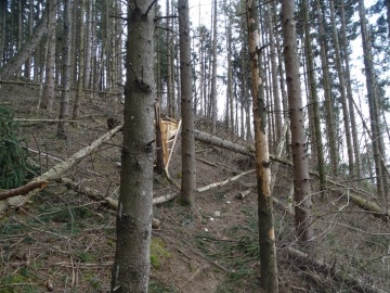 2020-02-29-Corno-di-Nago-63