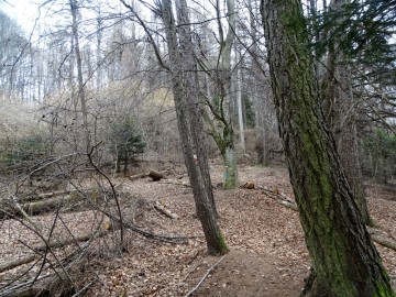 2020-02-29-Corno-di-Nago-69