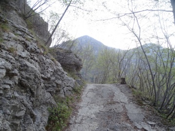 2025-04-09-Carpaglione-15