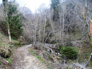2025-04-09-Carpaglione-19