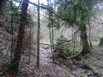 2025-04-09-Carpaglione-23