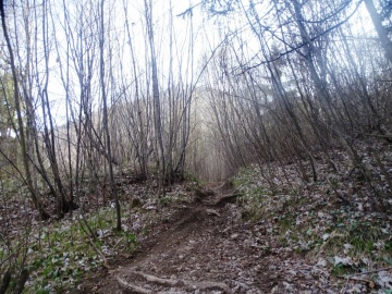 2025-04-09-Carpaglione-24