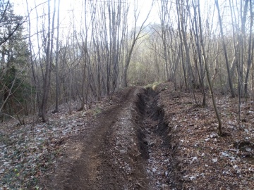 2025-04-09-Carpaglione-25