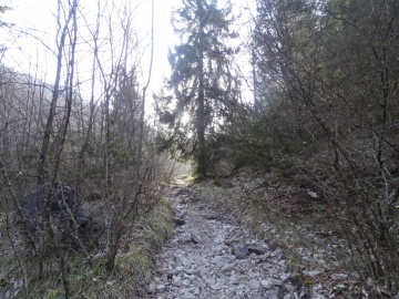 2025-04-09-Carpaglione-26