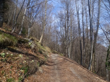 2025-04-09-Carpaglione-33