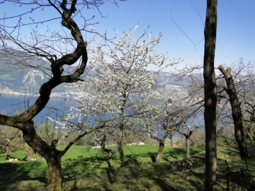 16 2011-04-10 Garda-Campo 045