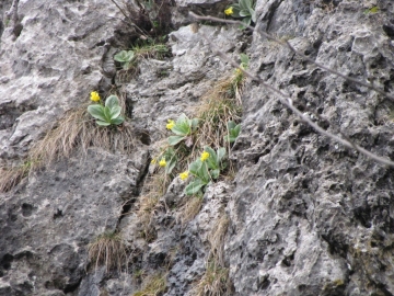 2010-05-09 passo forca alben 005
