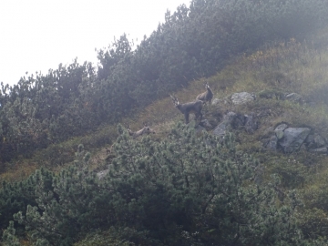 08 2015-09-20 Campagano 030