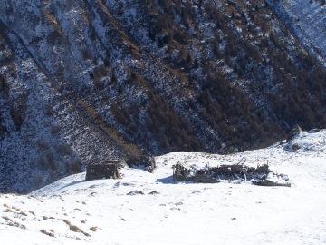 02 2006-12-26 Riguccio (9)