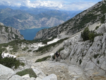 07 2014-07-12 Monte Baldo creste_Alyssum 004