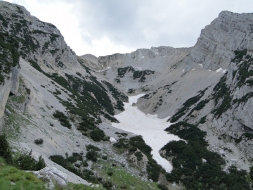 26 2014-07-12 Monte Baldo creste_Alyssum 027