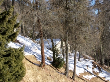 04 2007-12-26 malga tremonti passo rovaia 034