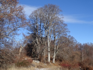 2023-12-16-monte-Denervo-e-Comer-48