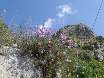 2023-05-31-Castellammare-s.Golfo-112