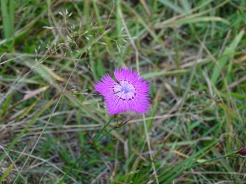 2021-09-18-Colma-di-Marucolo-25