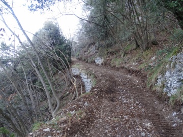 2024-03-16-Dosso-Merlo-56