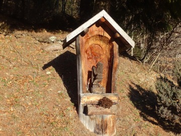 2022-02-12-Avalina-Dosso-dei-Morti-12
