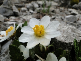 2011-05-14 Tremalzo_Ampola 028