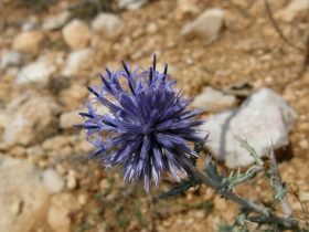 2008-08-27 verdon (6)