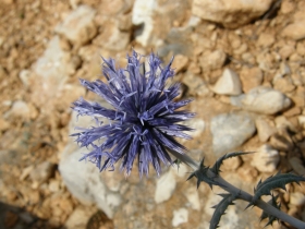 2008-08-27 verdon (7)