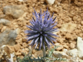 2008-08-27 verdon (9)