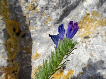 2018-06-21 Matera (62)