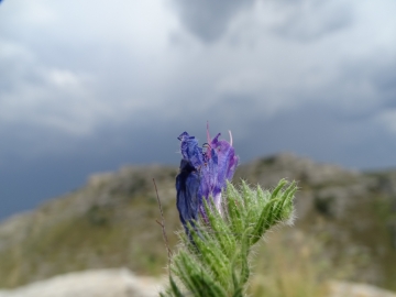 2018-06-21 Matera (63)