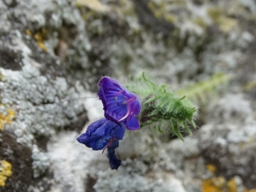 2018-06-21 Matera (66)