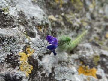 2018-06-21 Matera (68)