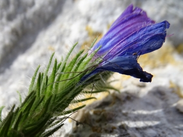 2018-06-21 Matera (69)