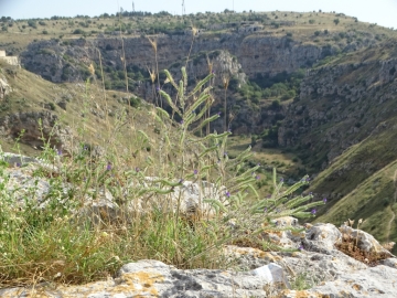 2018-06-22 A Matera (14)