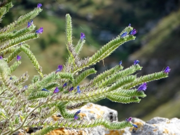 2018-06-22 A Matera (15)