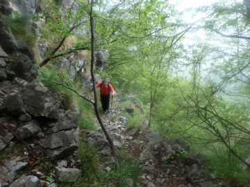 16 2014-05-07 monte Golla da Premolo 005