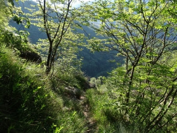 18 2014-05-18 monte Golla e rifugio (3)