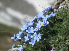 2011-07-06 passo monoccola 121