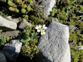 2013-04-14 Val Vertova - Barbata 002