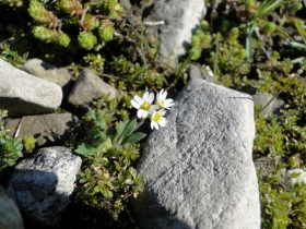 2013-04-14 Val Vertova - Barbata 002