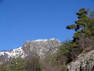 2021-02-14-Campei_de_Sima-11