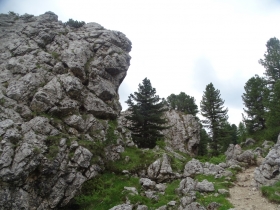 2016-07-02 giro del Sassolungo(46)