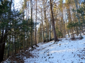 da bocca di Cocca a bocca di Valle (13)
