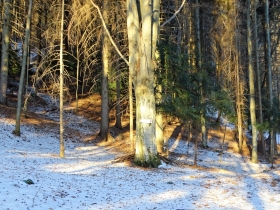 da bocca di Cocca a bocca di Valle (14)