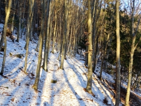 da bocca di Cocca a bocca di Valle (16)
