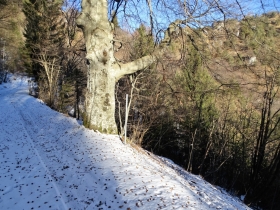 da bocca di Cocca a bocca di Valle (19)